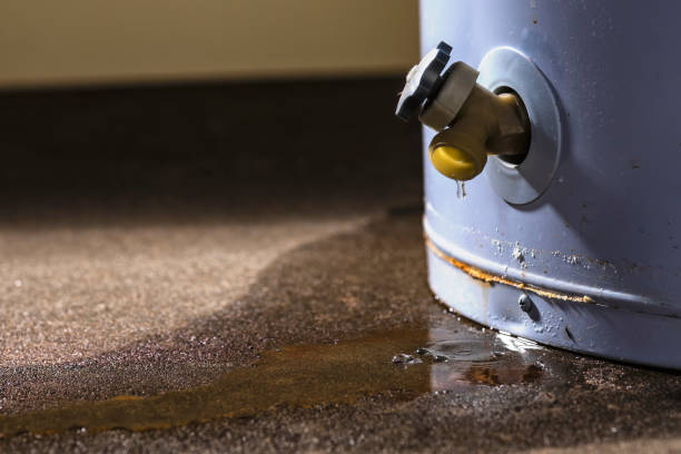 Best Flooded house restoration  in Wilson, PA