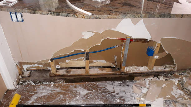 Best Water damage restoration near me  in Wilson, PA