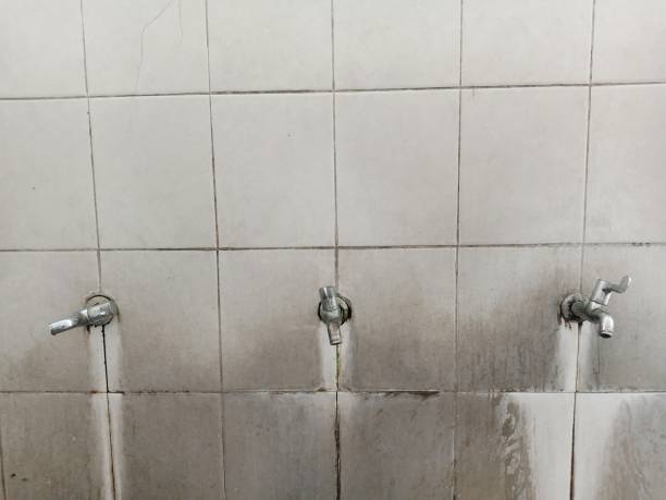 Best Water damage contractors near me  in Wilson, PA