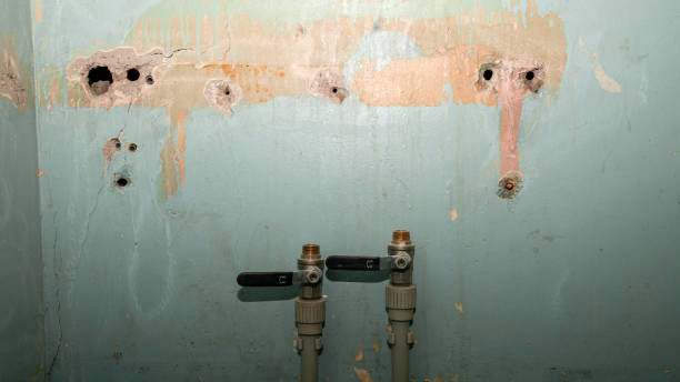 Best Emergency water damage restoration  in Wilson, PA