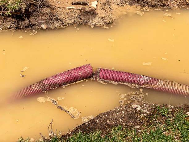 Best Sewage cleanup and water damage restoration  in Wilson, PA