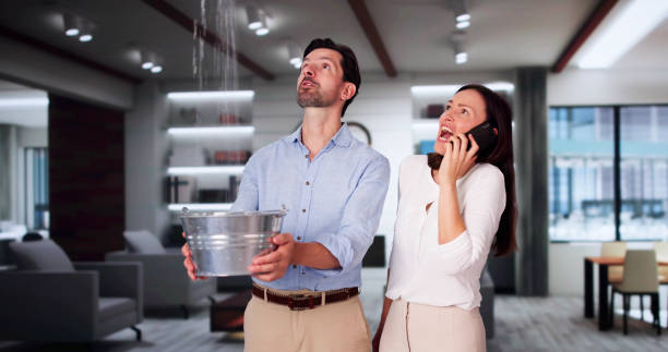 Best Flooded house restoration  in Wilson, PA